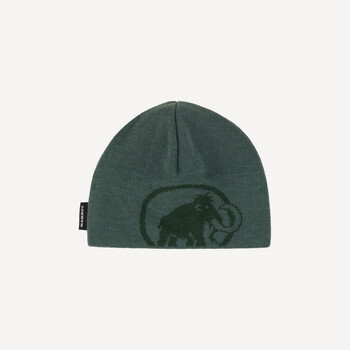 Mammut Шапка Mammut Tweak Beanie (dark jade-woods) Mammut Шапка Mammut Tweak Beanie (dark jade-woods)