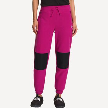 The North Face Брюки флисовые Alpine Polartec 200 Wm (fuschia pink/black) The North Face Брюки флисовые Alpine Polartec 200 Wm (fuschia pink/black)