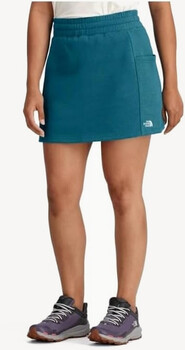 The North Face Юбка TNF W Evolution Skirt (BlueMoss) The North Face Юбка TNF W Evolution Skirt (BlueMoss)