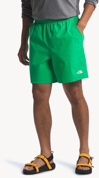 The North Face Шорты TNF Wander Short 2.0 (OpticEmerald)
