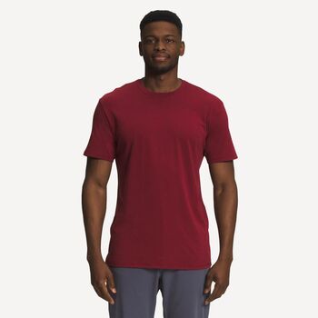 The North Face Футболка Terrain S/S Tee (cordovan)