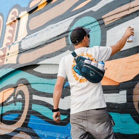 Сумка поясная Daylite Waist