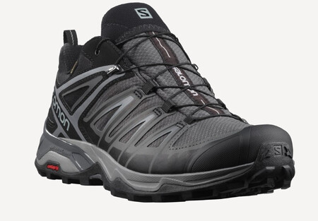 Ботинки X ULTRA 3 GTX