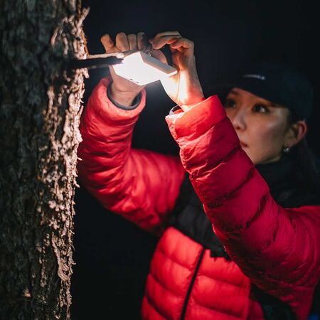 Фонарь кемпинговый 3Face Mini, 800 lum