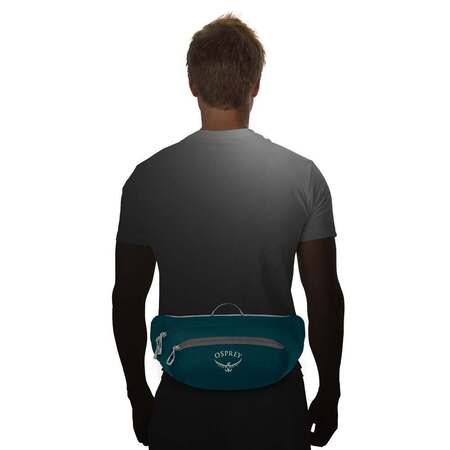 Сумка поясная Daylite Waist