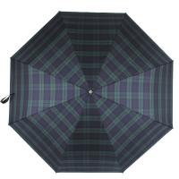Зонт мужской, 4100102 FJ, автомат, 37 х 6 см, купол 137 см
