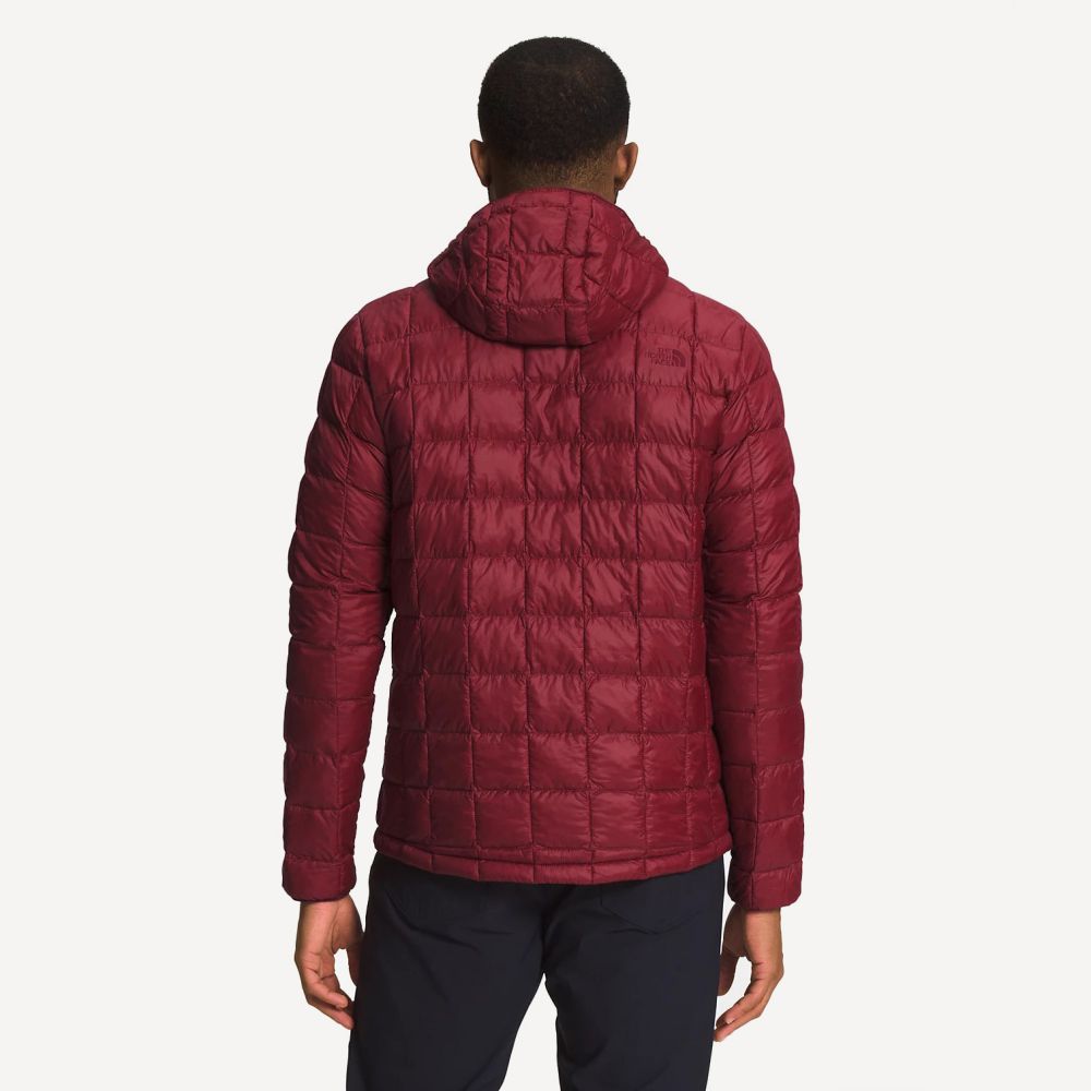 North face thermoball hooded parka online