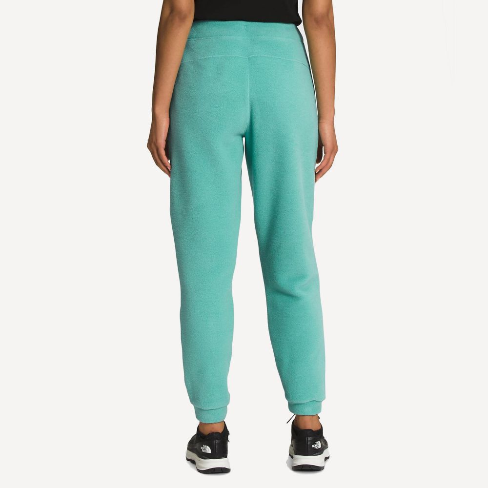 Брюки флисовые Alpine Polartec 200 Wm (Женский; XS; wasabi/black)