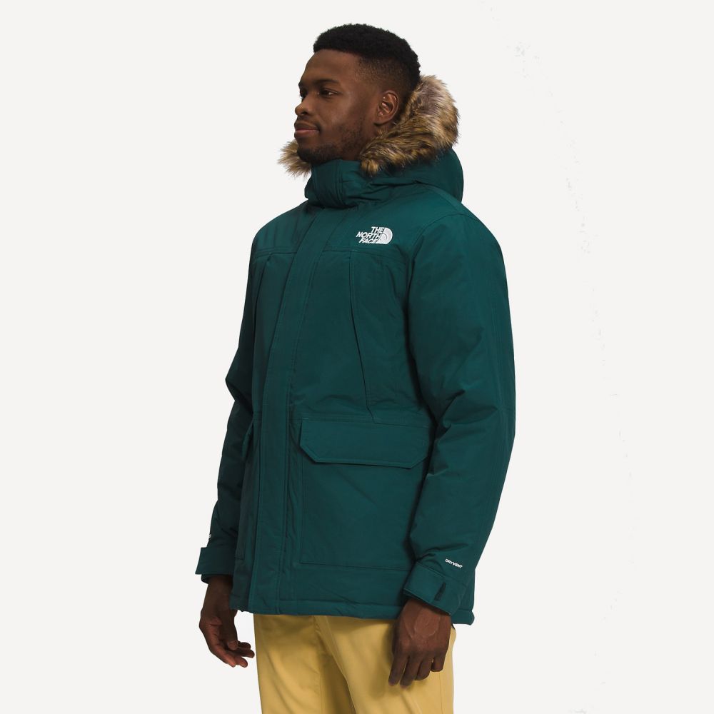 The north face shop m mcmurdo parka