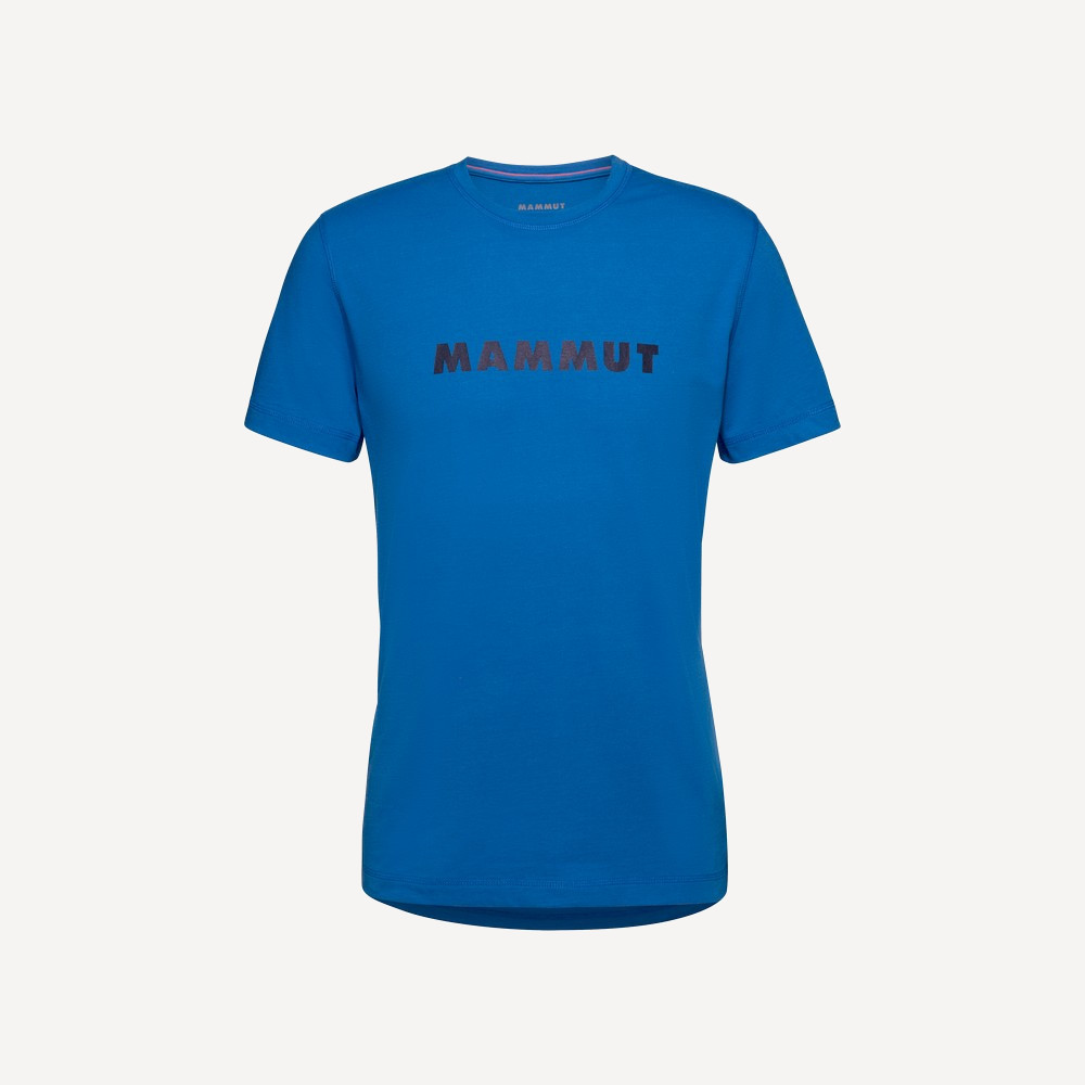 Футболка Mammut Core T-Shirt M Logo (Мужской; XL; Ice)