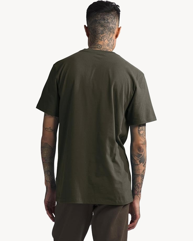 Футболка TNF S/S Half Dome Tee (Мужской; S; NewTaupeGreen Black)