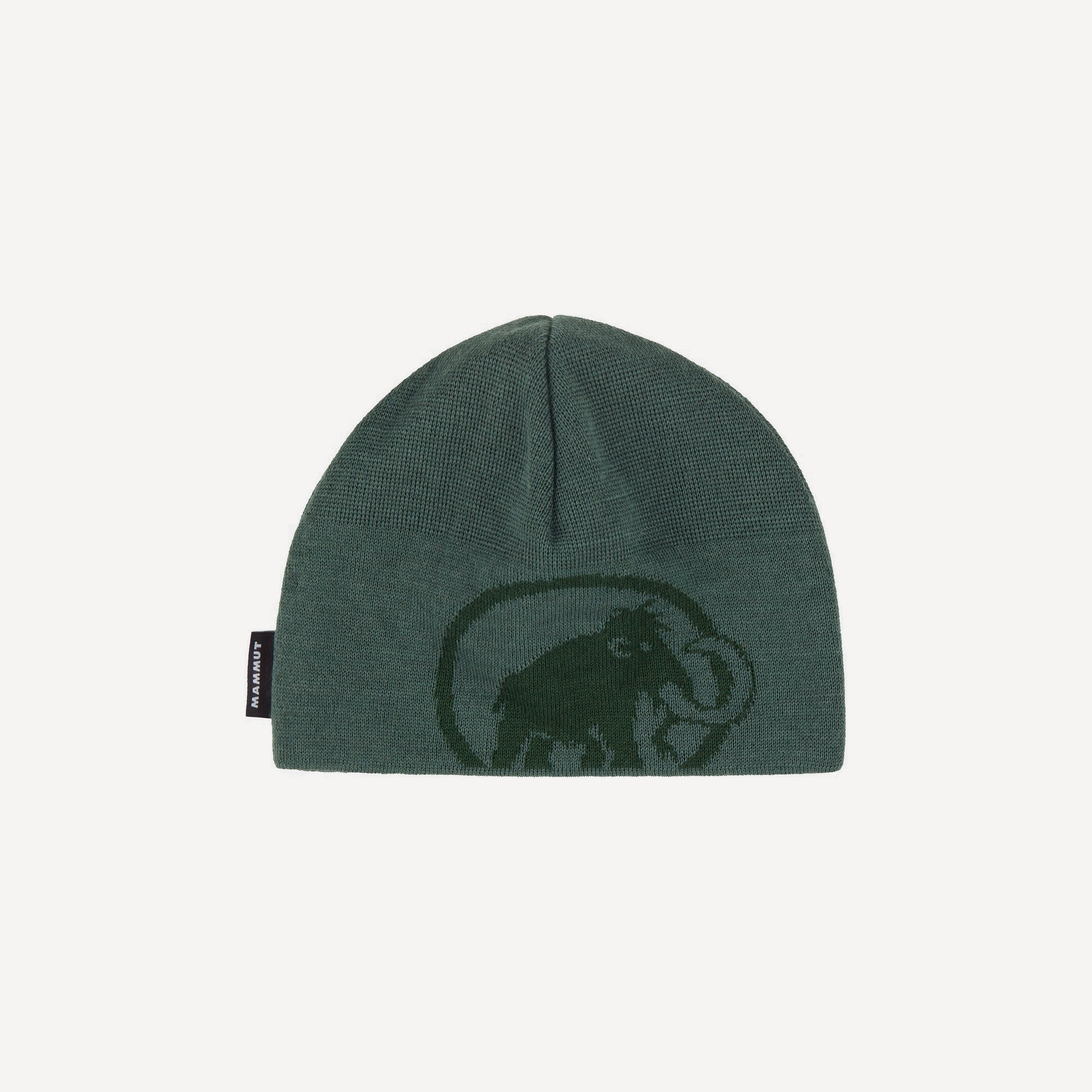Шапка Mammut Tweak Beanie (; one size; dark jade-woods) Шапка Mammut Tweak Beanie (; one size; dark jade-woods)
