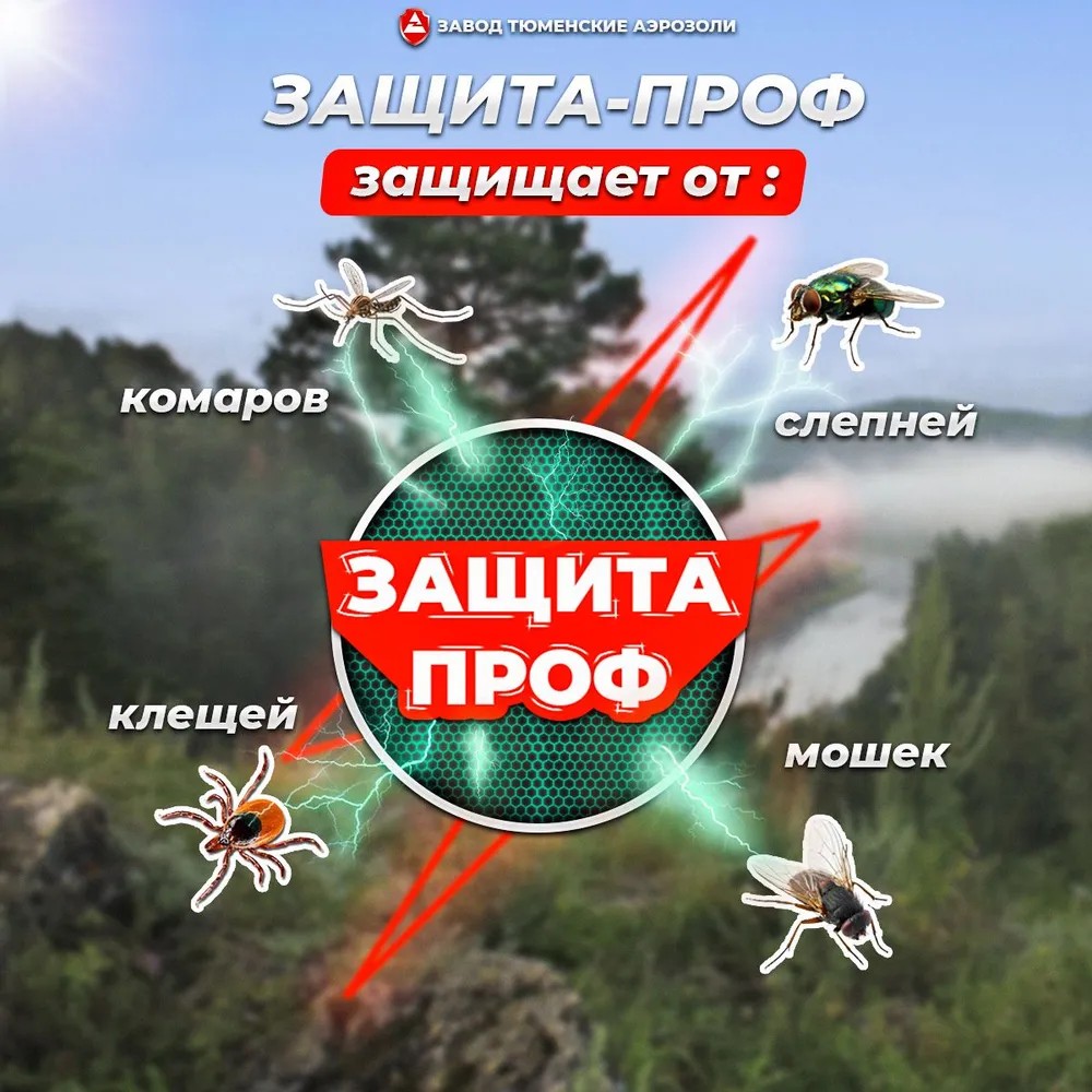Аэрозоль Защита-Проф 3-в-1_140мл (ДВ25%)