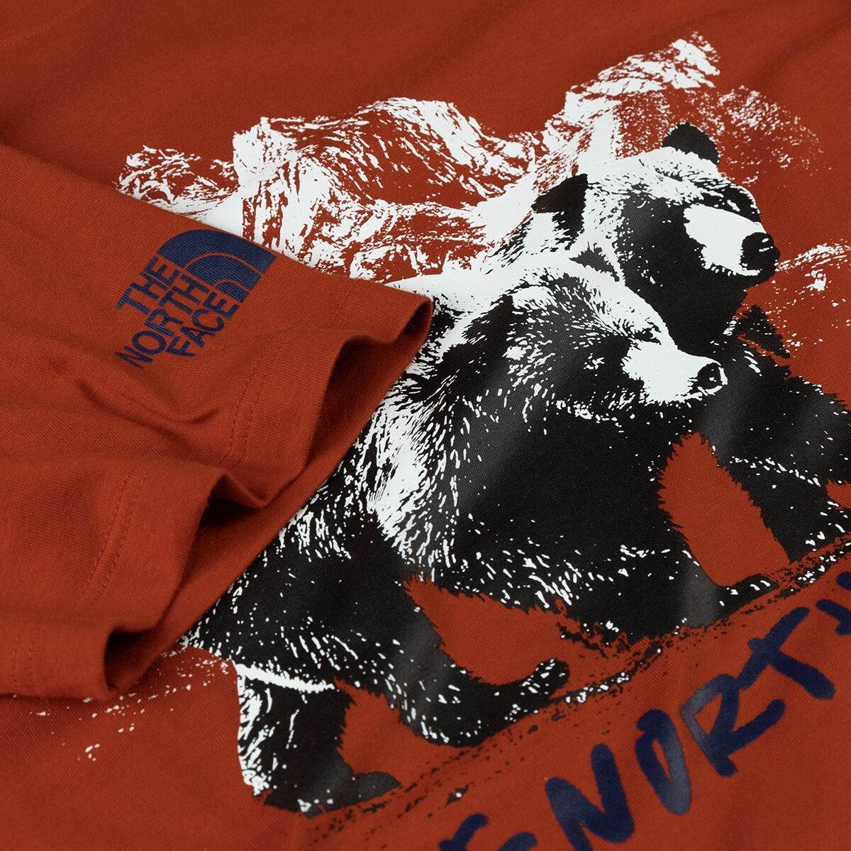 Футболка TNF S/S Bears Tee (Мужской; S; RustedBronze)