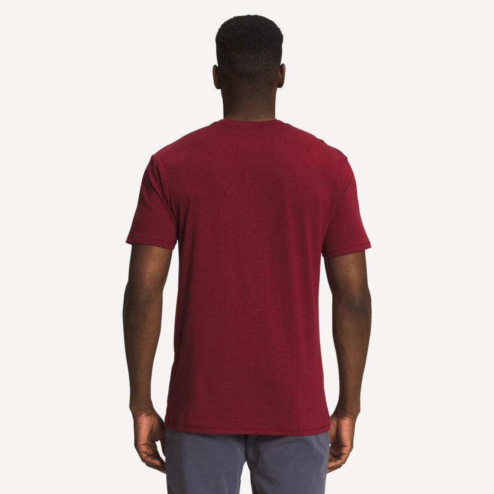 Футболка Terrain S/S Tee (Мужской; L; cordovan)