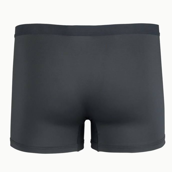 ТермоТрусы Годобль Ш(м) (58-182; Тень)