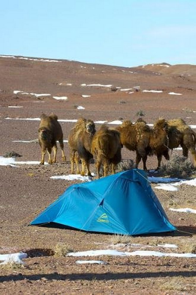 Палатка NORMAL Тибет 2 Si PU (Олива, 220*145*105 см)