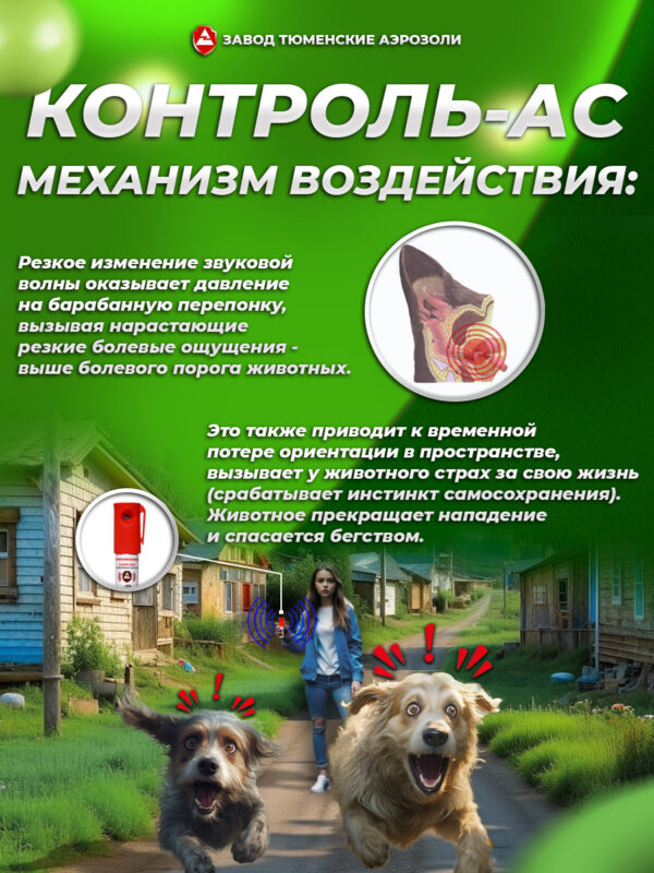 Баллончик Шумовой Контроль-АС 25мл (100-150 сигналов по 130дБ)