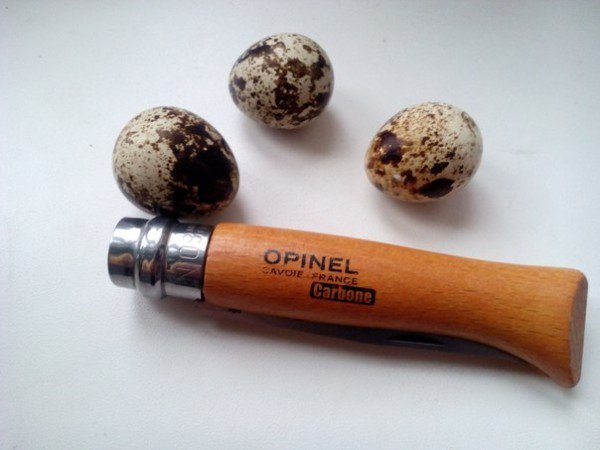 Нож складной Opinel Tradition №7 VRN (Carbon) 8см (Бук / угле. Сталь)