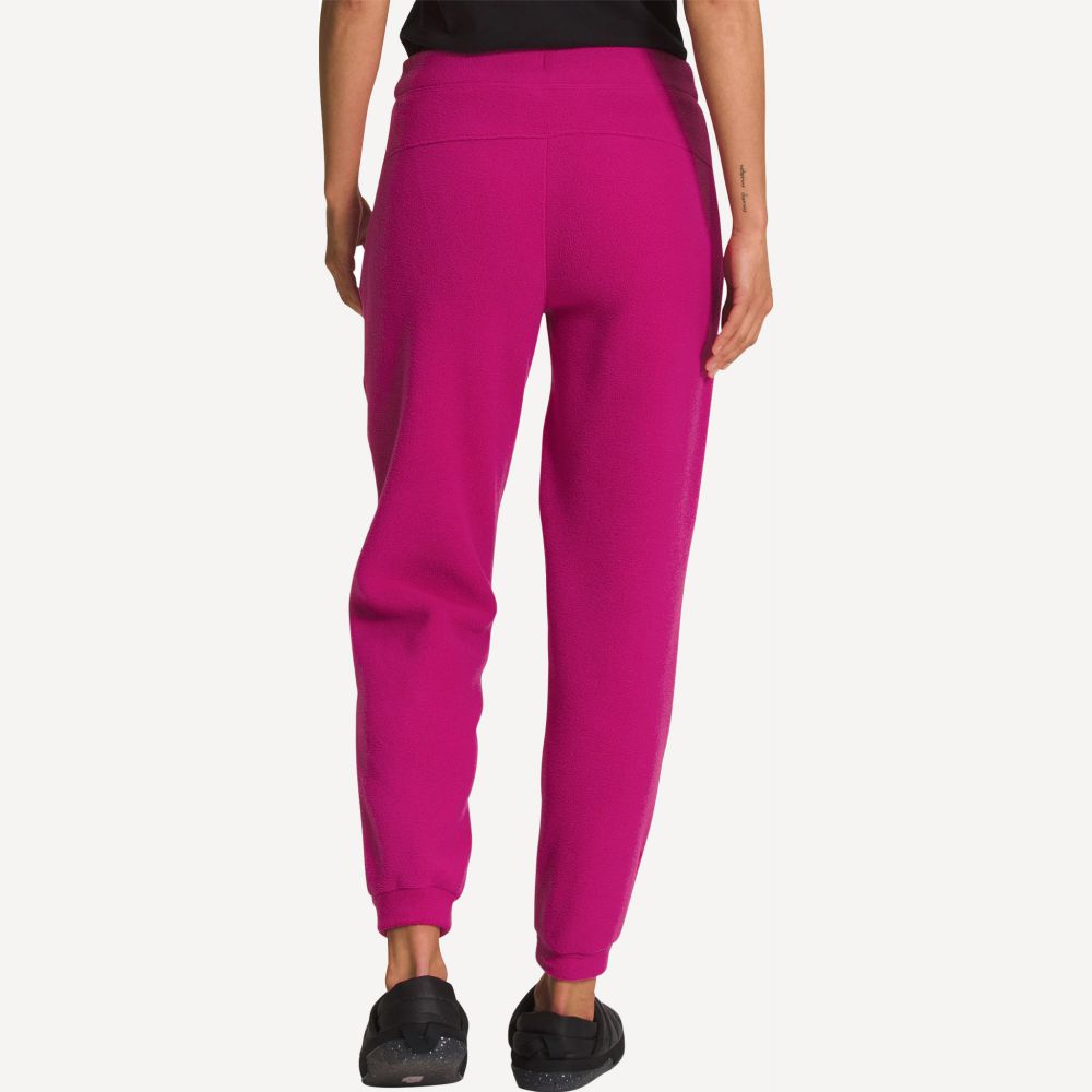 Брюки флисовые Alpine Polartec 200 Wm (Женский; S; fuschia pink/black)