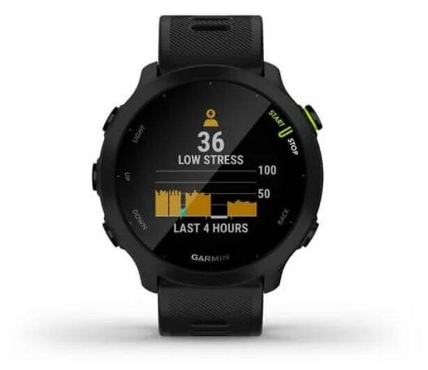 Часы Forerunner 55 (Black)