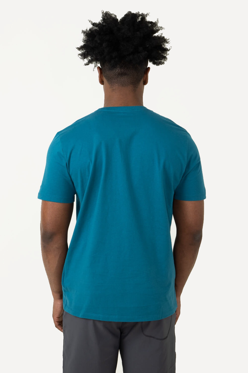 Футболка TNF S/S Half Dome Tee (Мужской; S; BlueMoss)