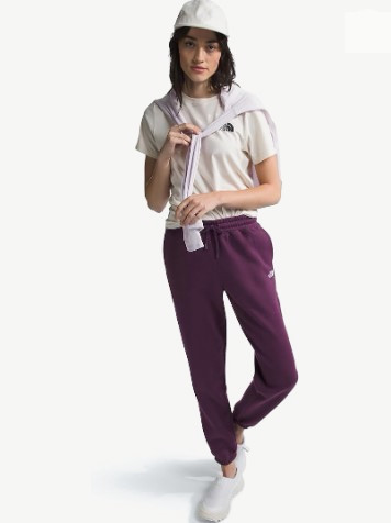 Брюки TNF W Half Dome Fleece Sweatpant (Женский; S; BlackCurrant Purple)