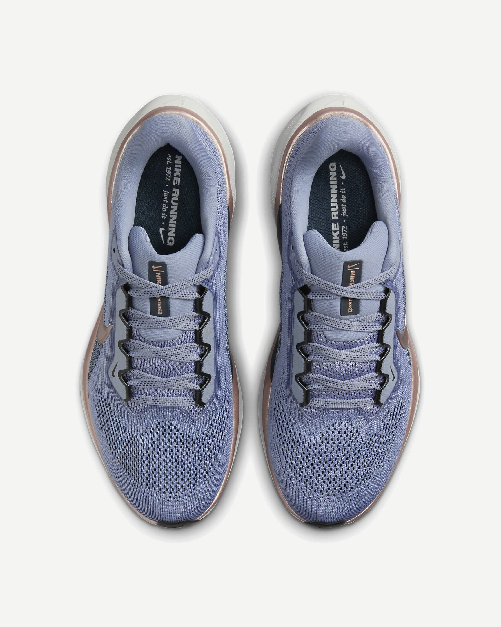 Кроссовки AIR ZOOM PEGASUS 41 Ws (RU 37.5 EU 38.5 USw 7.5 СМ 23.7; ashen slate/armory navy/black/metallic red bronze)