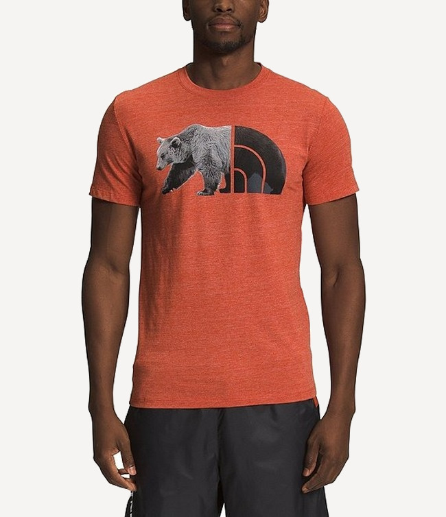 The north face bear on sale shirt